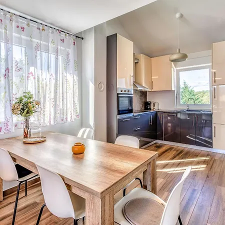 Medna B6 By Interhome Apartment Cizici