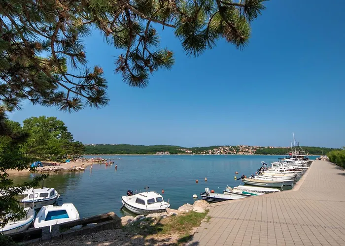 Medna B6 By Interhome Apartment Cizici